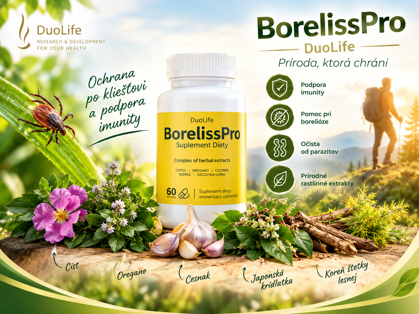 BorelisProDuo